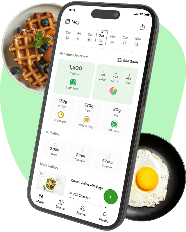Ways to Log Meals