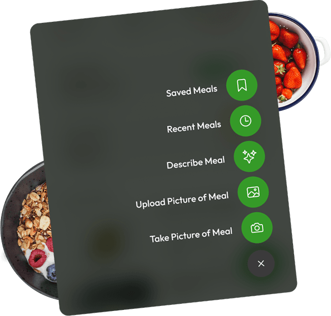 Ways to Log Meals